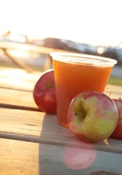 Apple Cider Slushy with apples and a sun flare