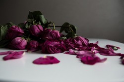 Withered roses on white table. 
