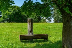 beautiful fountain with clear water under the single tree on a green pasture. wooden fountain with rusty metal fountain trough. lush flowered pasture on a sunny day with blue sky