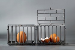 Brown chicken egg in a little toy cages