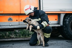 Photo of a firefighter rescuing a dog. Dog rescuing. Fireman who wear protective clothes and helmet.