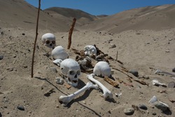 Human skulls and bones in the Nazca sand desert in Ica-PERU