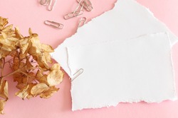 clipped torn blank paper sheets and dry flower on pink background