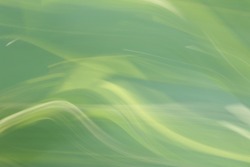 modern simple green blur background