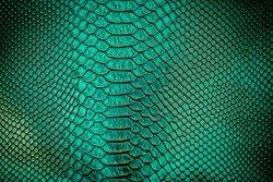 Close up of green Luxury snake skin texture use for background