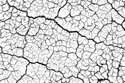 Close up of summer. Patterns and texture cracked soil of sunny dried earth soil, Drought of the ground. Dried cracked earth soil ground black and white color.