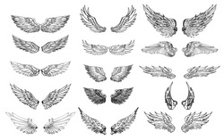 Hand drawn wing set.Sticker wing tattoo.Doodle and sketch style wing of bird tattoo.