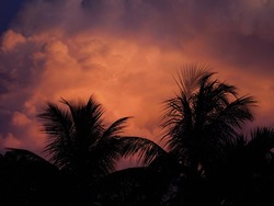 Sunrise or sunset sky with colourful clouds, blue orange yellow hues and coconut tree shadow