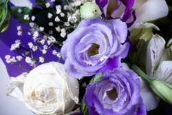 Fresh violet rose flowers bouquet close up with selective focus. Close up flower bouquet background. Shallow DOF