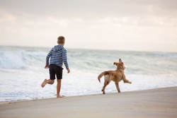 A boy and his dog play on the beach