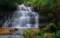 Mun dang or Man dang waterfall with a pink flower foreground in Rain Forest at Phitsanulok Province, Thailand