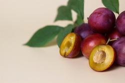 Ripe plums with leaves. Half with bone. Harvest fruit from the garden.