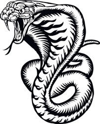 Cobra illustration. Snake vector image.