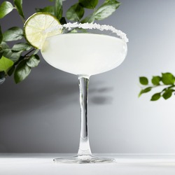 Refreshing summer citrus cocktail in glass goblet with sugar rim and slice lime with gin, green leaves in sunlight with shadows in minimal abstract white interior, square.