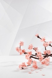 Pink cherry sakura flowers on twig as decoration in soft light elegant modern interior in geometric minimalist style - lines, polygon shape as  floral spring season stage for design, vertical.