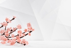 Valentines day spring floral background with branch pink sakura on white wood table, abstract geometric wall with lines, corners and poligonos, copy space. Romantic festive background in japan style.