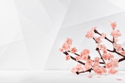 Pink cherry sakura flowers on twig as decoration in soft light elegant modern contemporary interior in geometry simple style - lines, polygon shape as floral spring season stage for design.