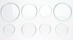 Different size Petri dishes for biochemical analysis in the white background.