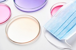 Petri dishes with colorful agar media with bacterial colonies for biochemical analysis in microbiological laboratory and medical face mask.