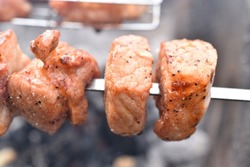 Grilled pork meat in a barbecue net with spices