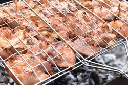Grilled pork meat in a barbecue net with spices