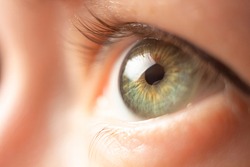 Female green eye close up