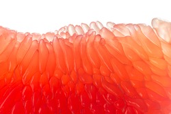Fresh juicy grapefruit pulp on white background. Piece of red grapefruit macro close up. Citrus fruit texture wallpaper