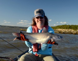 A medium sized silver gray blue catfish fish being held horizontally in by a smiling man in a canoe on a rough river