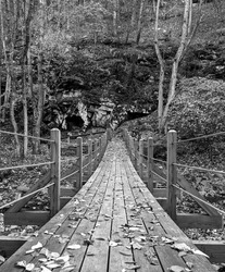 A black and white grayscale view across leaf covered wooden suspension bridge over a stream in the forest
