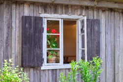 Old window in aged wooden house. Rural background. Wooden wall from boards. Open window, pot with red flower.