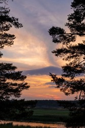 Red, golden colors of clouds and silhouette of trees. Pine branches with needles on the sides and a beautiful sunset over the river.