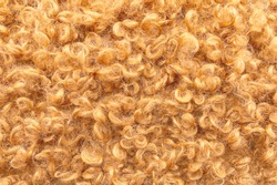 The texture is formed by curly light brown  villi of carpet as a background. It looks like animal fur.
