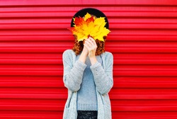 Fashion autumn portrait woman hides her face yellow maple leaves on a red background