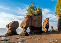 Hopewell Rocks Park in Hopewell Cape, New Brunswick, Canada at Atlantic ocean coast. 