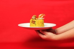 Paella rice is a traditional cuisine recipe from the city of Valencia Spain prepared with saffron, seafood, shrimp, vegetables served on a white plate on a red background qith hands serving