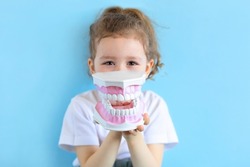 Little cute funny girl holding tooth jaw, dent. Kid training oral hygiene. Child learning brushing, cleaning teeth. Prevention of caries in children. children dentistry. dental care kids