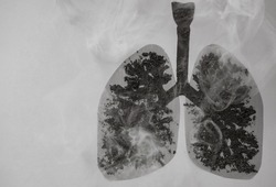 Image of human lungs damaged by tobacco and cigarette smoking. No tobacco day. Space for text, message, advertisement