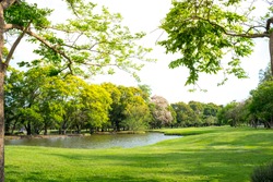 Scenic view of the park in the center of the big city in the summer. With a lagoon in the middle and green trees. In the atmosphere of evening light