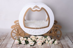 real carriage newborn photography prop