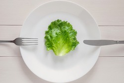 single lettuce leaf on the plate with fork and knife, detox mono diet for weight loss
