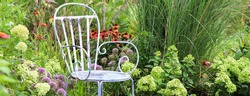 A horizontal banner of a vintage blue metal chair in quiet smot in the garden, surrounded by lime green ;hydrangeas and orange coneflowers and purple allium with tall miscanthus morning light