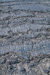 The glacial striations on the rock.   