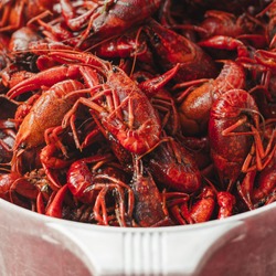 South Louisiana Crawfish. Boiled crawfish ready to eat. Mudbugs in a pot. Cooked crawdads in a bowl in Delcambre, Louisiana. Spicy cajun crawdads.