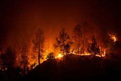 Bush forest wild fire at night in Barechhina, Almora, Uttarakhand, India