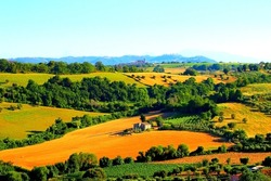 Warm scenery in Campofilone with the gentle rolling hills of the typical Marche landscape extending in green, yellow and slightly reddish colors in front of a hilly background with villages and sky