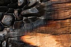 Burned Wood Texture. Background
