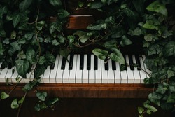 Wooden retro piano in green leaves.