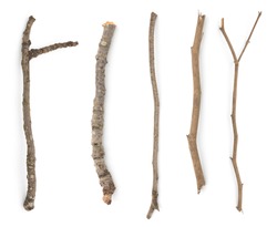Multiple sets of branches old wood collection closeup white isolated