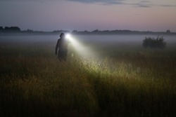 A man walks through a meadow on a foggy evening, shining a flashlight. A slender male silhouette against a foggy meadow in the evening. 