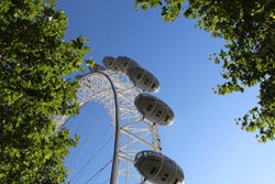 view of the london eye from beneath the tree line on a sunny London, UK afternoon